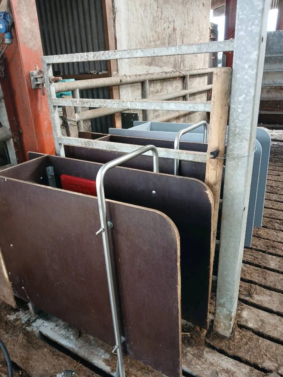 Automatic calf feeder - Image 3