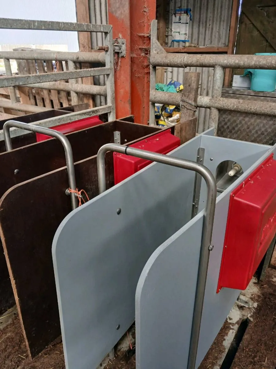 Automatic calf feeder - Image 2