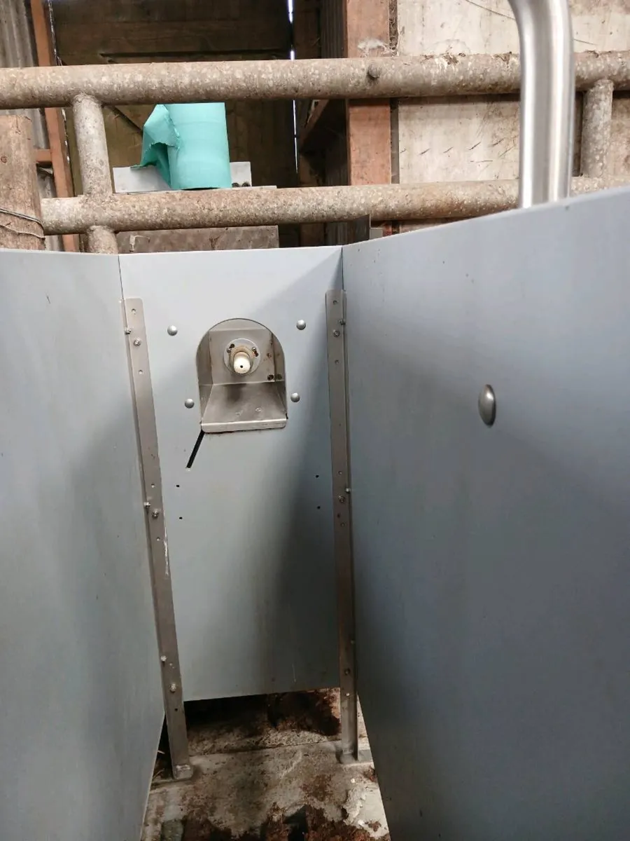 Automatic calf feeder - Image 4
