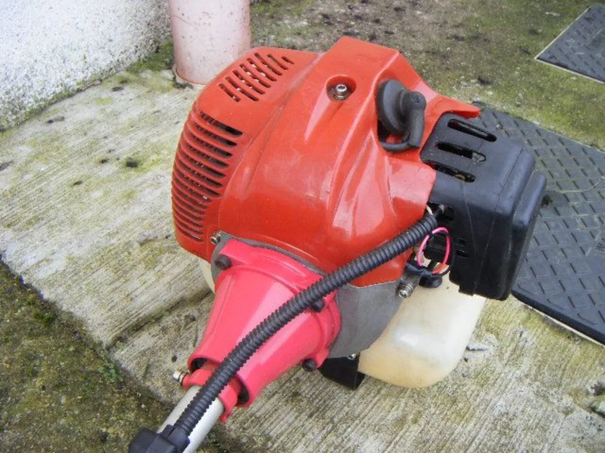 Long Reach Hedge Trimmer - Image 2