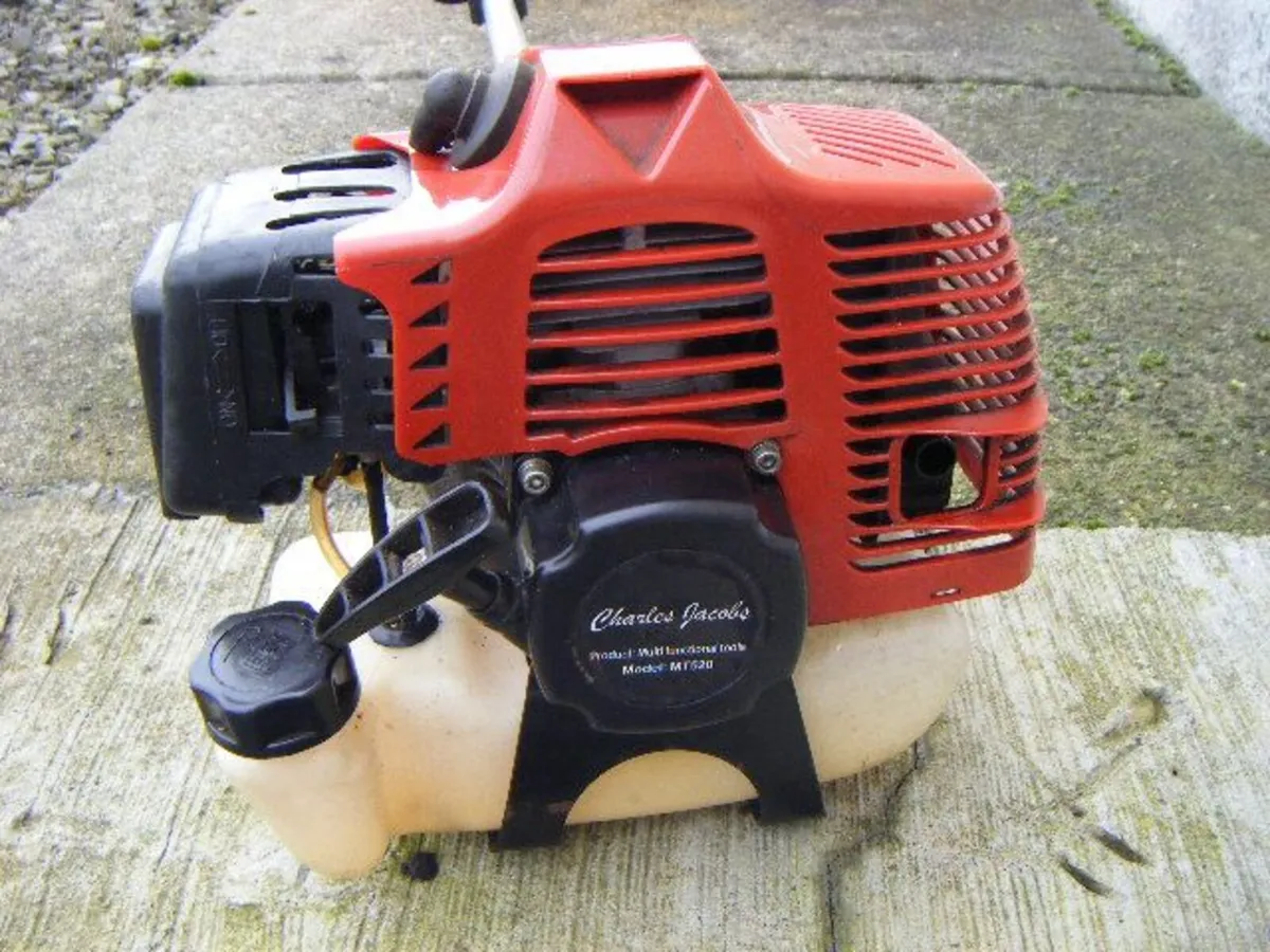 Long Reach Hedge Trimmer - Image 3