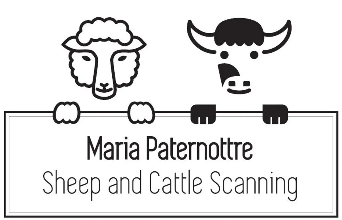 Sheep and Cattle scanning