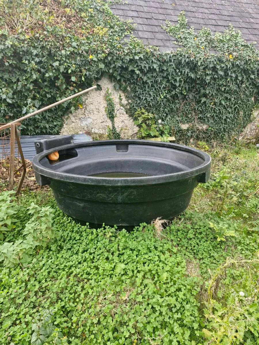 Drinking trough - Image 1