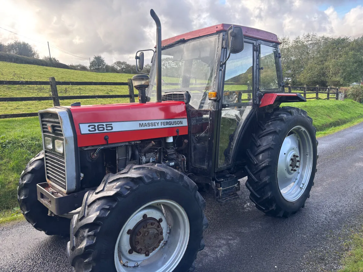 Massey Ferguson 365 - Image 2