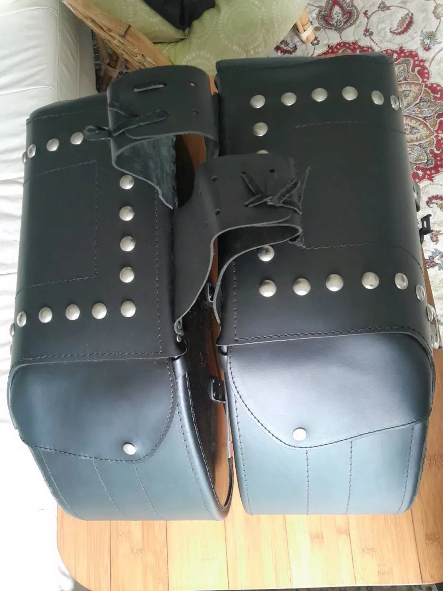 Motorcycle saddlebags - Image 3