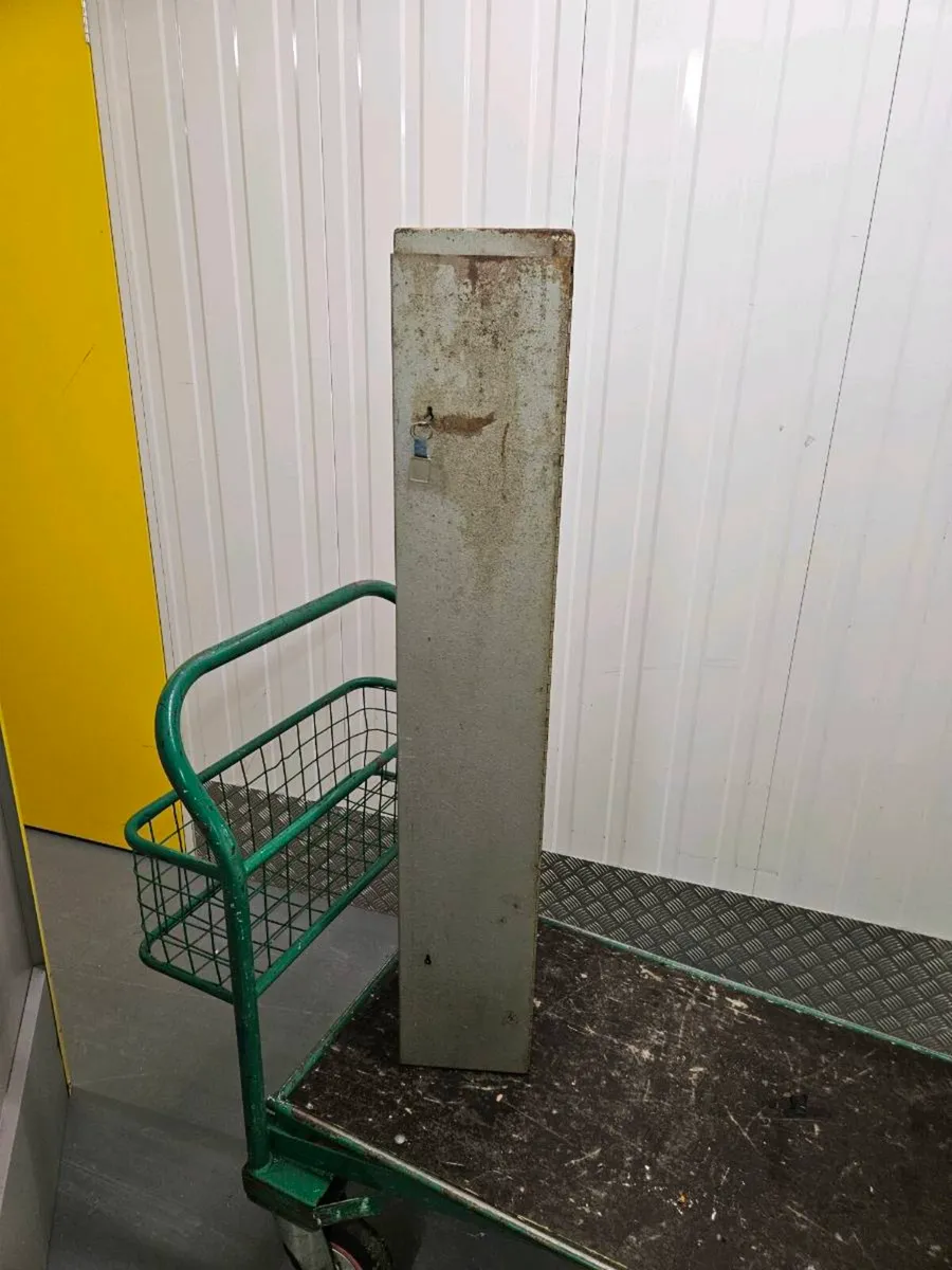Fun case - Image 1