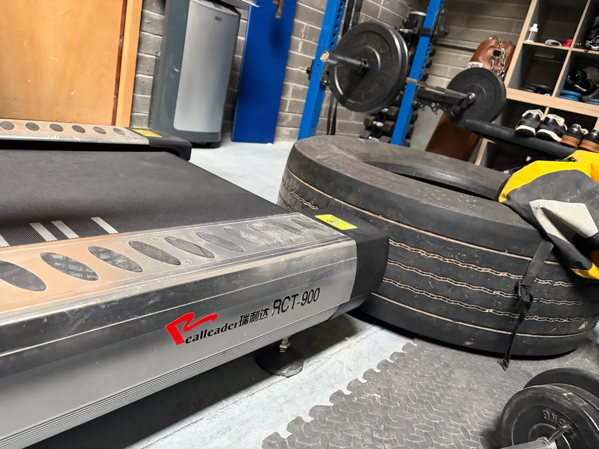 Large Threadmill - Image 4