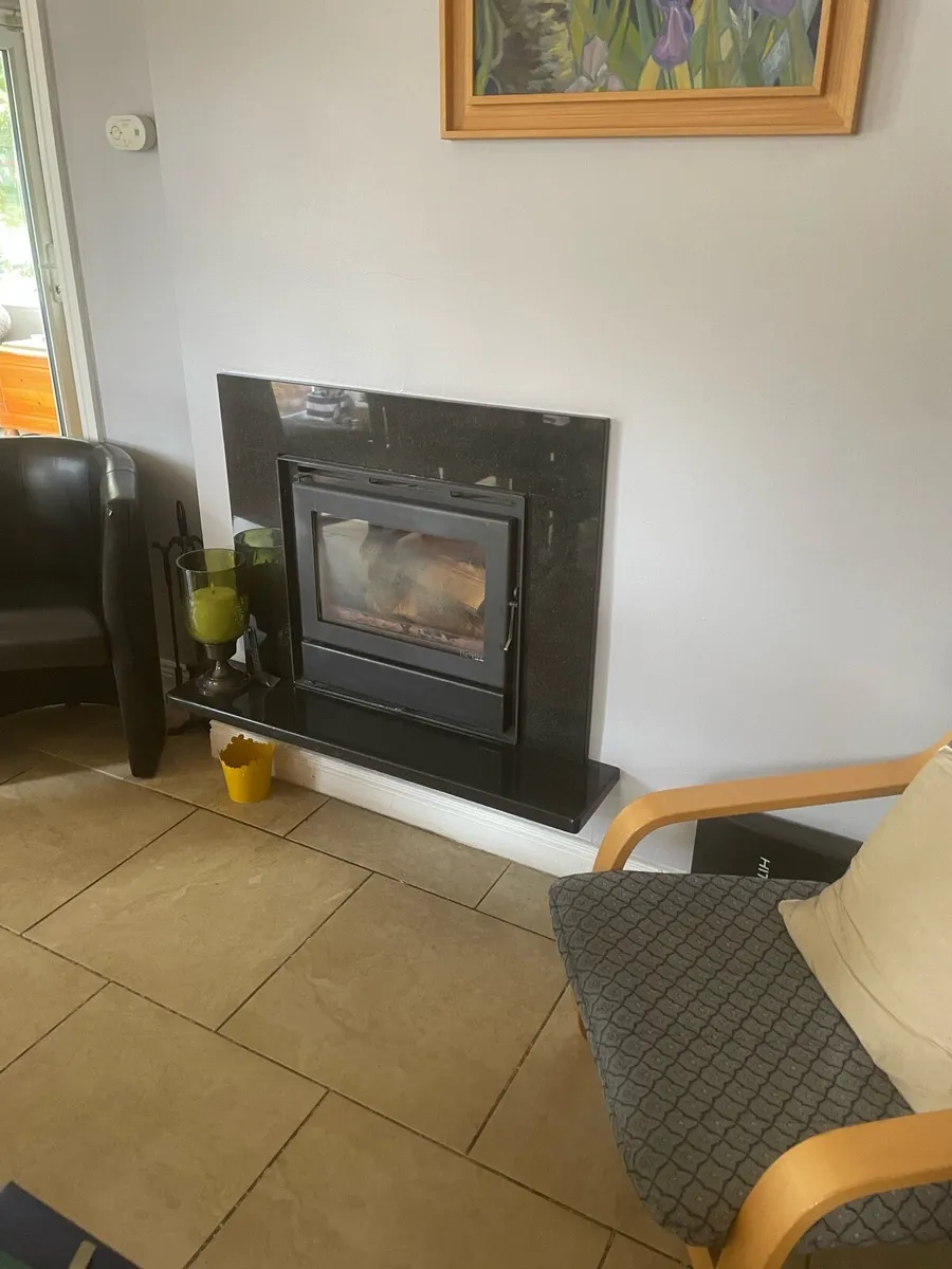 Boru insert stove - Image 1