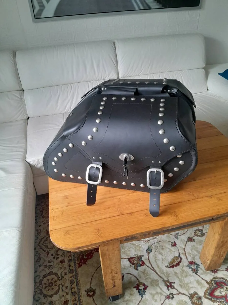 Motorcycle saddlebags - Image 1