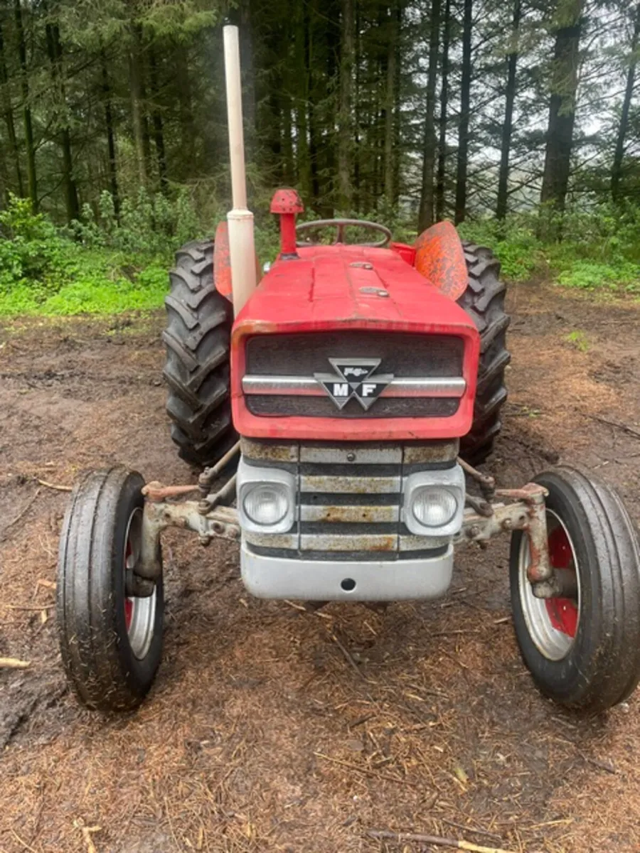 1966 Massey Ferguson 135 (Petrol) - Image 2