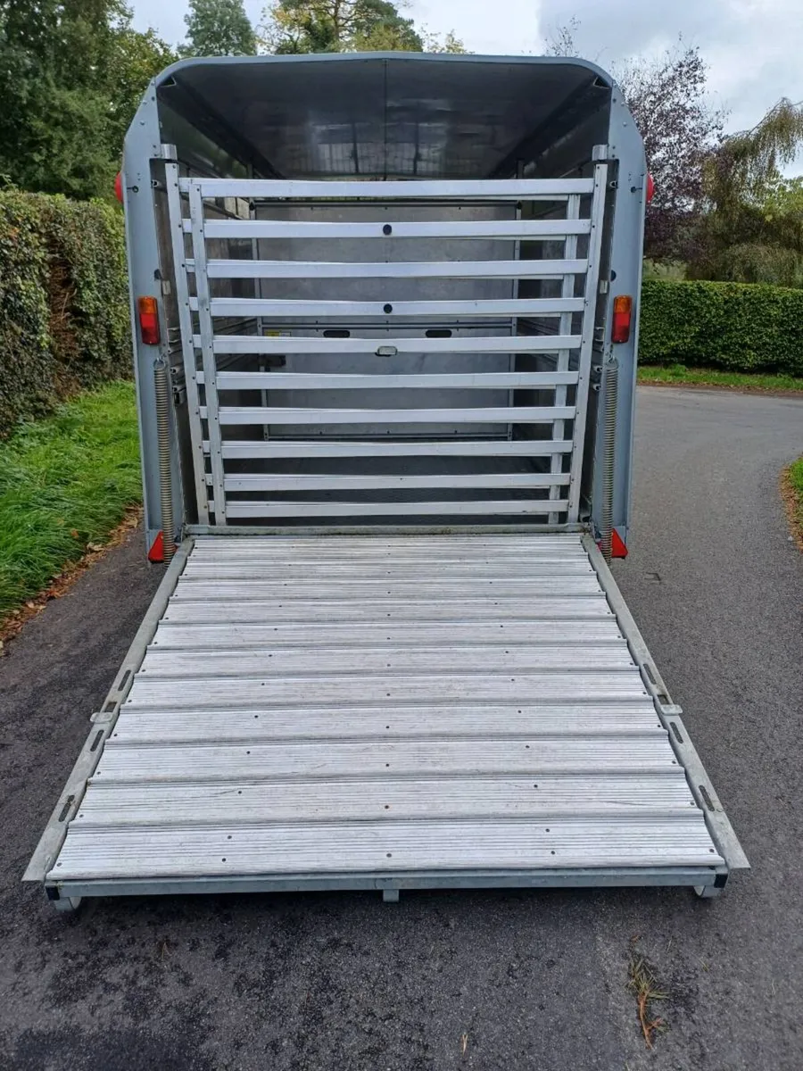 Ifor williams 12x 5'10 ,  year 22 , €7750 - Image 2