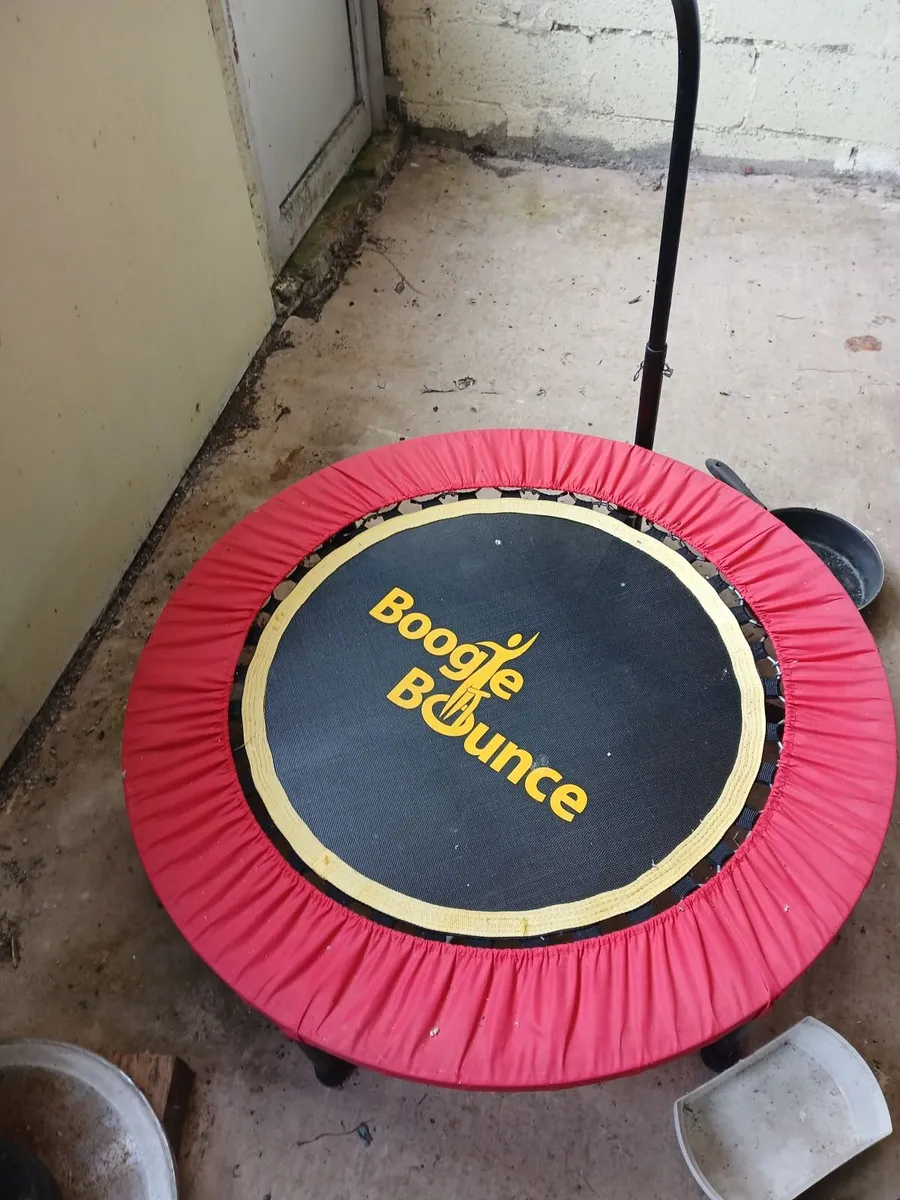 Boogy Bounce