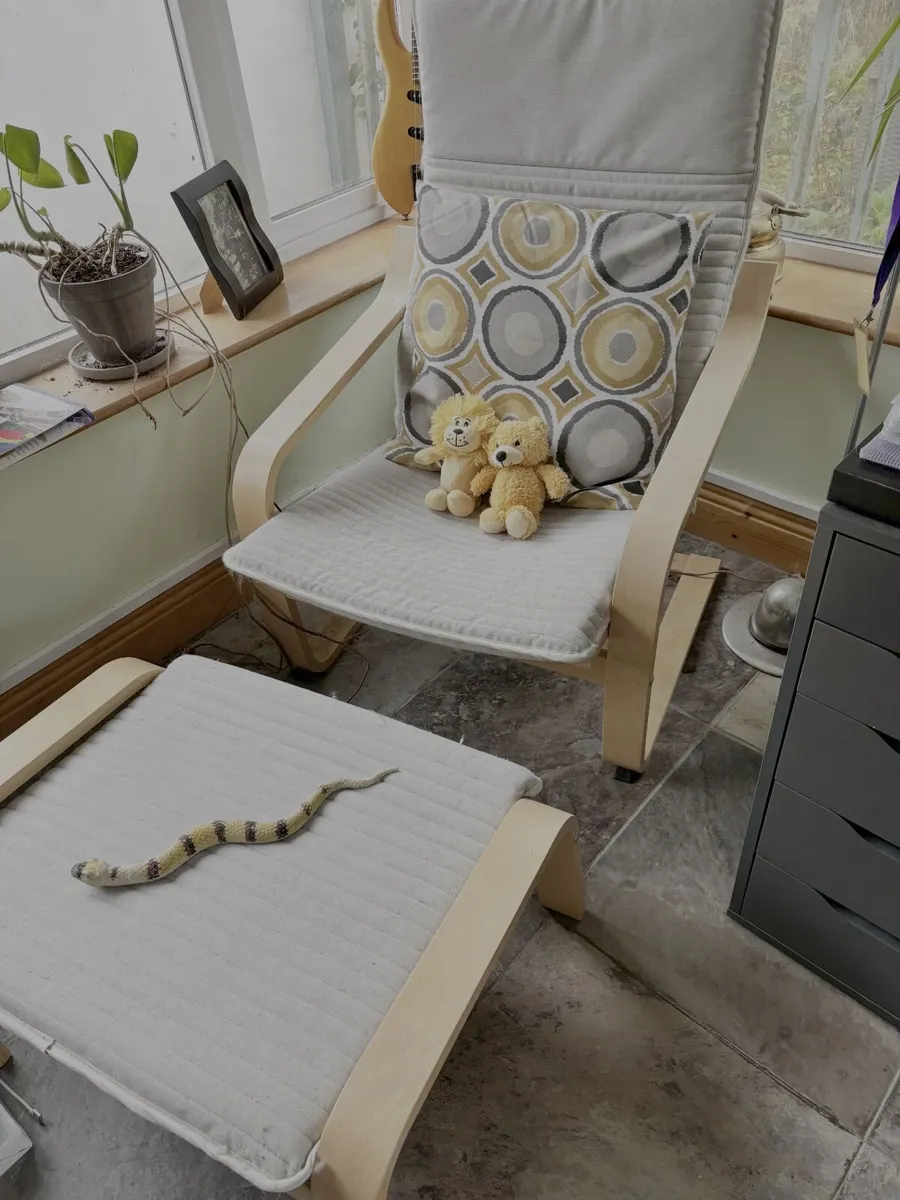 Pine Chair and Footstool - Image 1