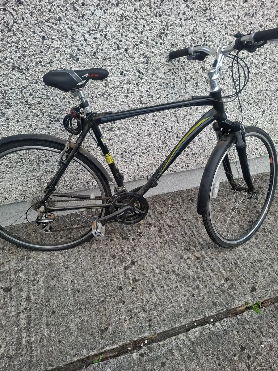 Man's bicycle - Image 2