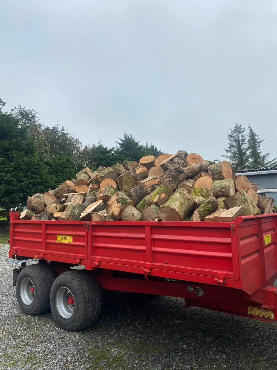 Firewood - Image 1