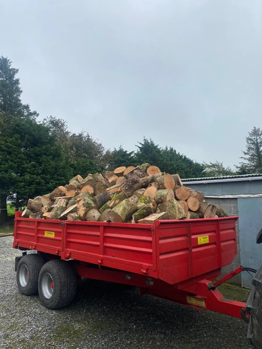 Firewood - Image 2