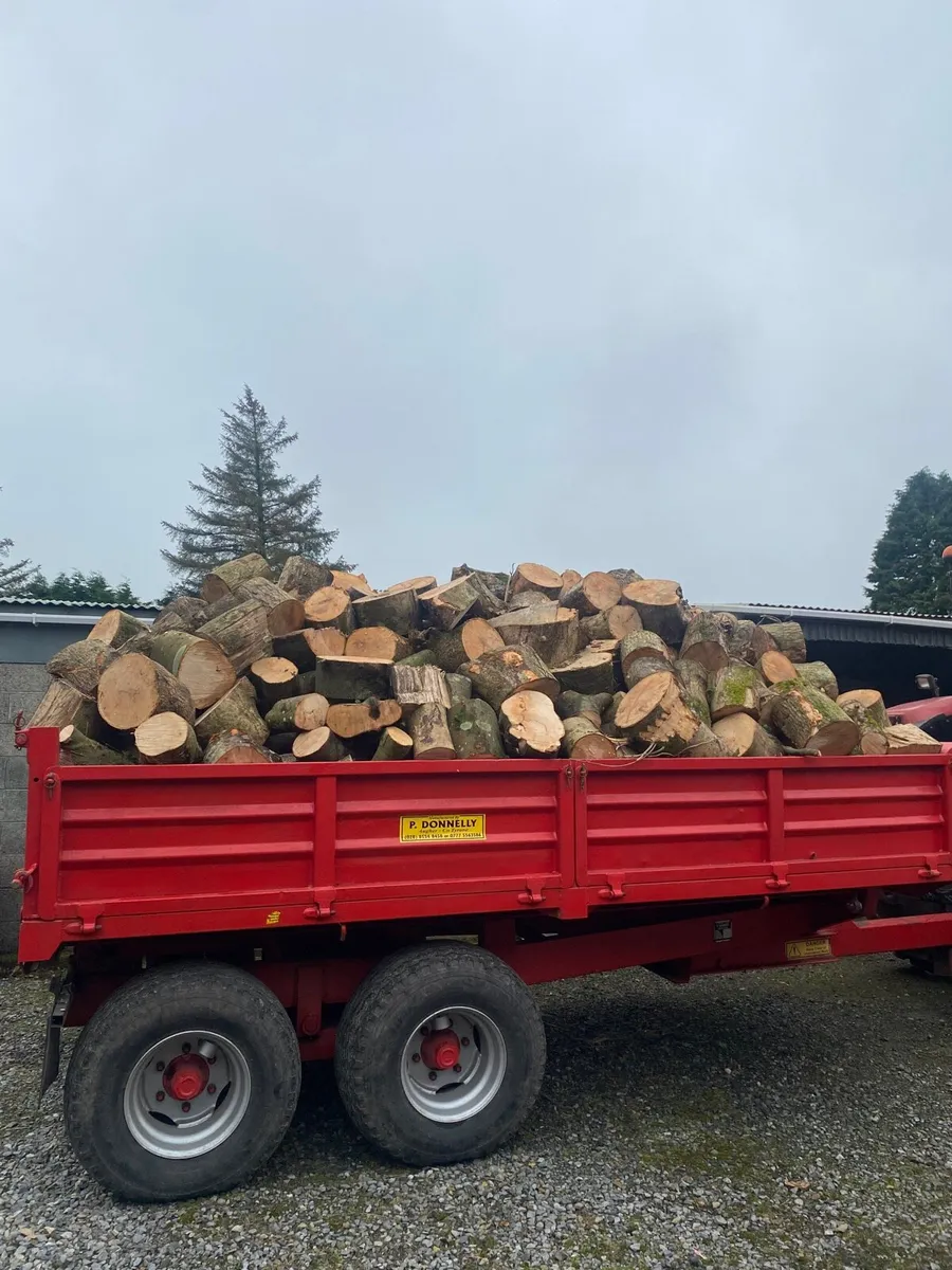 Firewood - Image 3