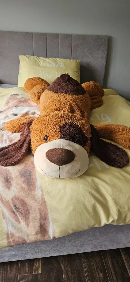 Large teddy