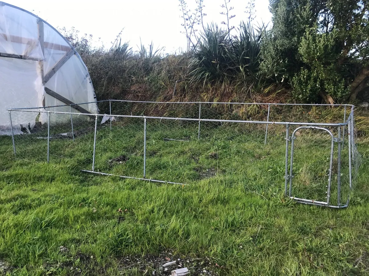 Dog run