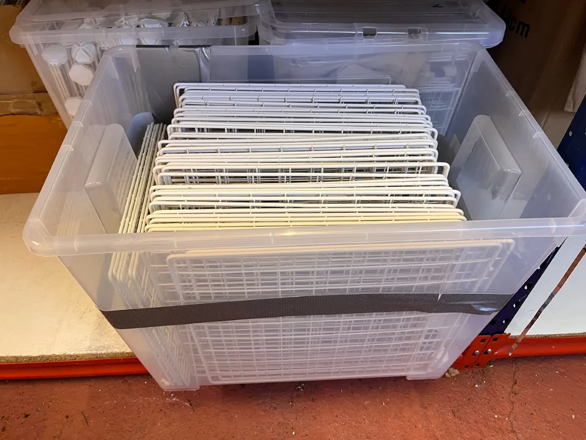 IKEA Ladder & White Modular Grid Storage Lot - Image 4