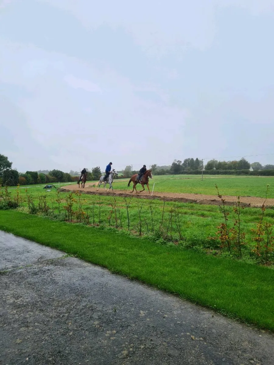 Stable yard - Image 2