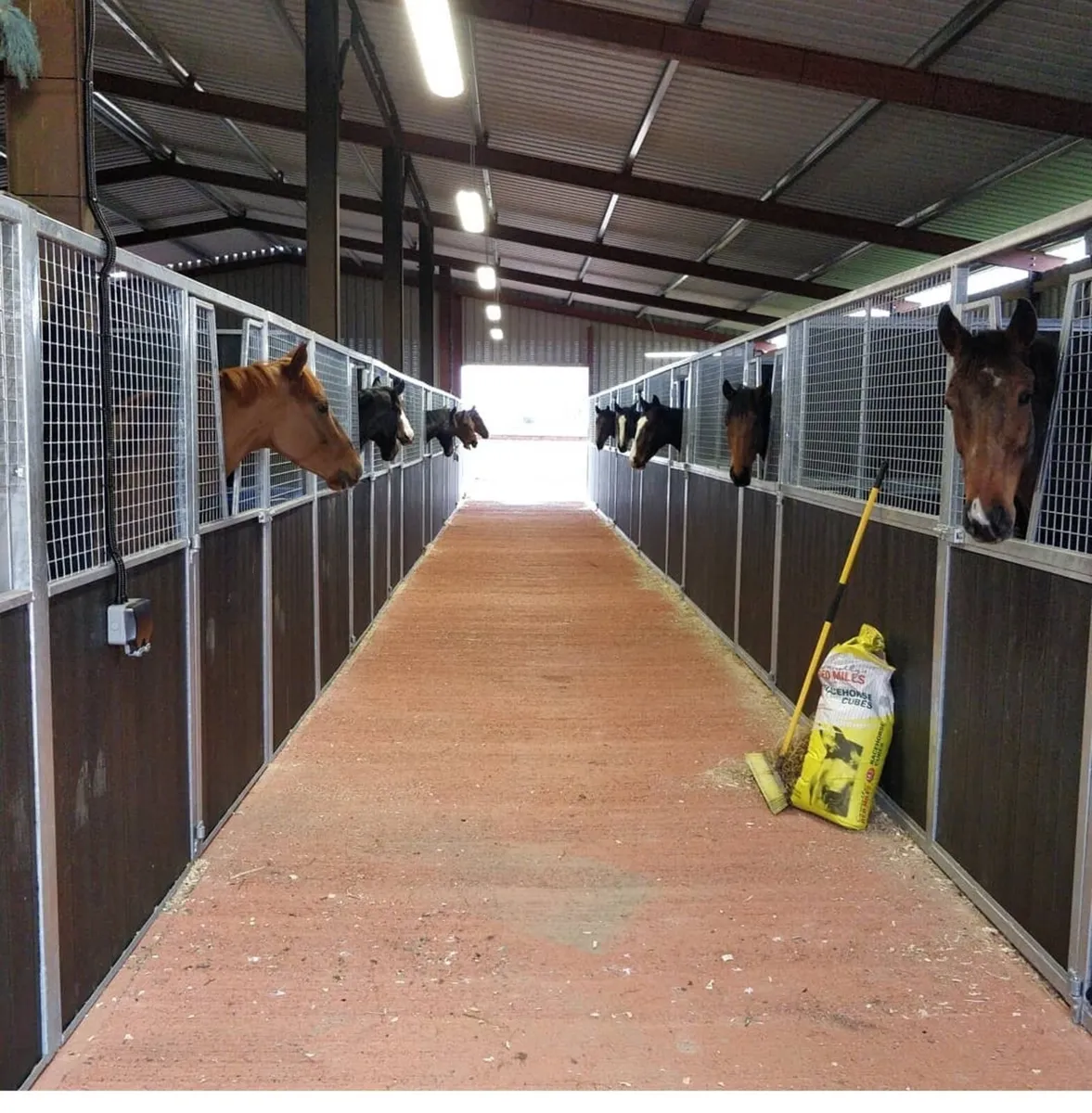 Stable yard - Image 1