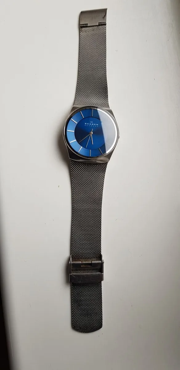 SKAGEN  Gents Wrist Watch - Image 1