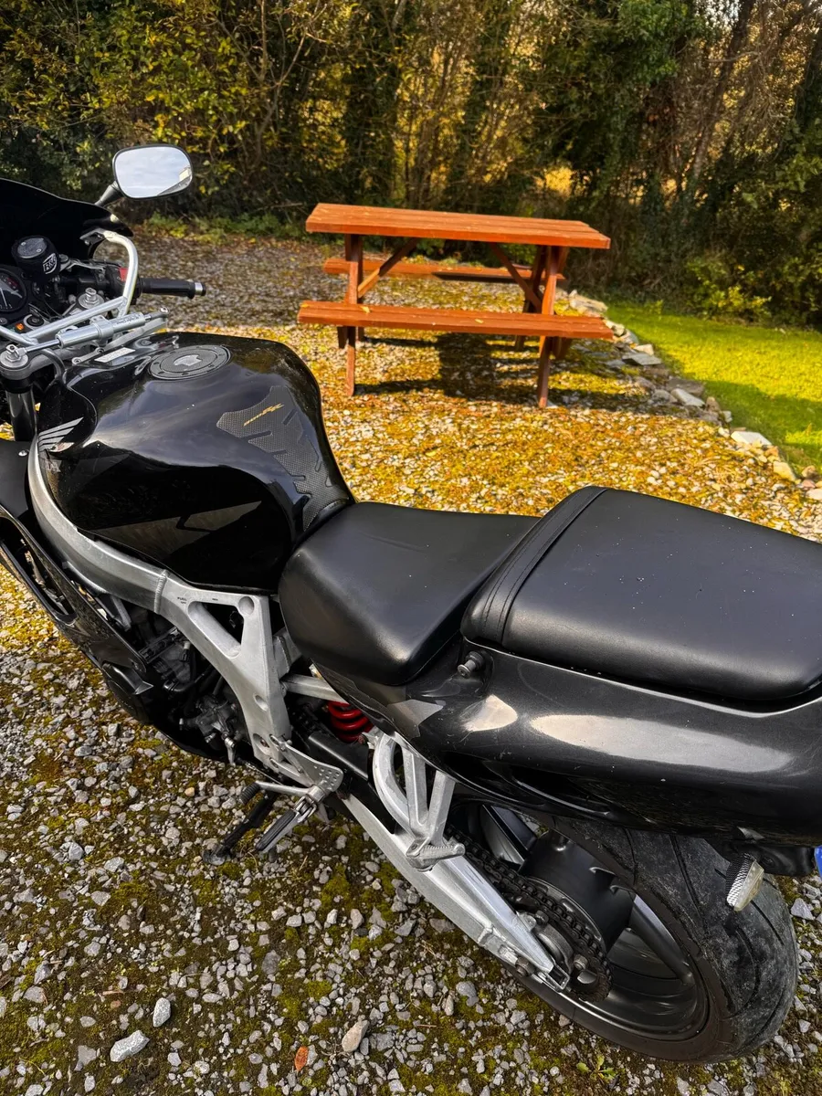 98 Honda Fireblade - Image 4