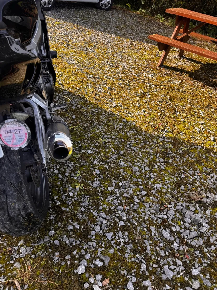 98 Honda Fireblade - Image 3