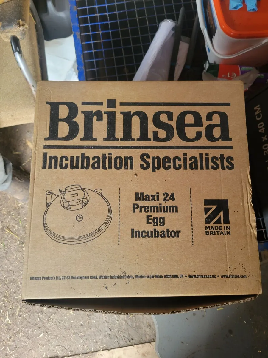 Incubator - Image 1