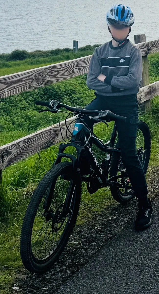Bike - Image 1