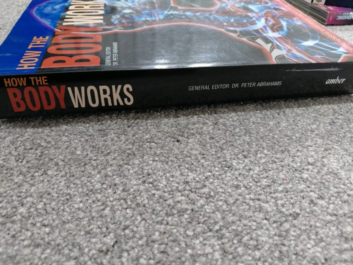 How the body works book - Image 4