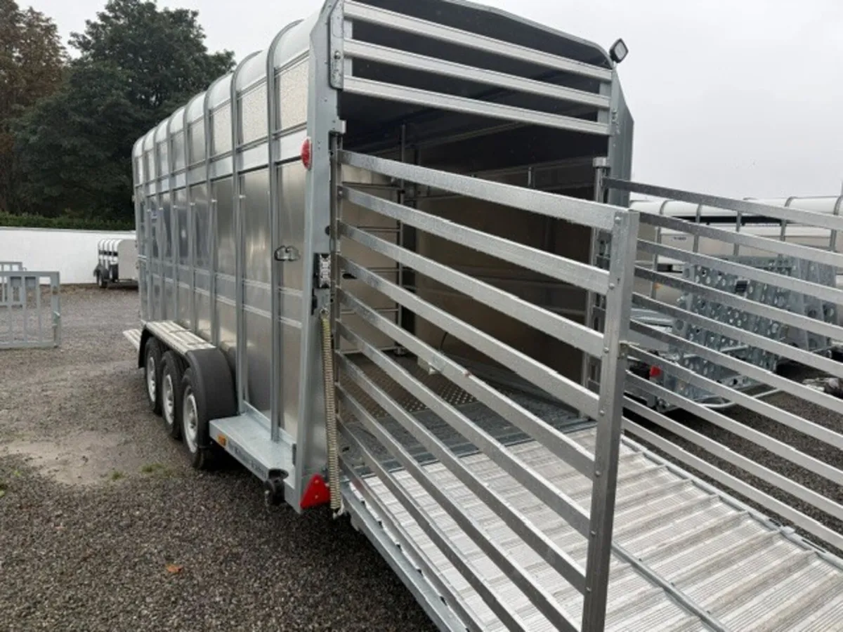 T3054614 TA510 16 x 5'10' x 7' Ifor Williams xxx - Image 4