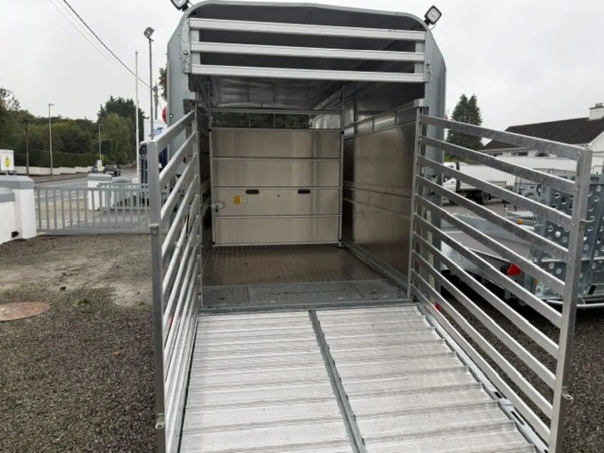 T3054614 TA510 16 x 5'10' x 7' Ifor Williams xxx - Image 3