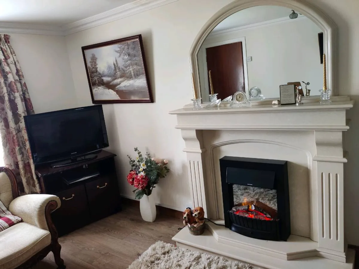 Marble fireplace - Image 3