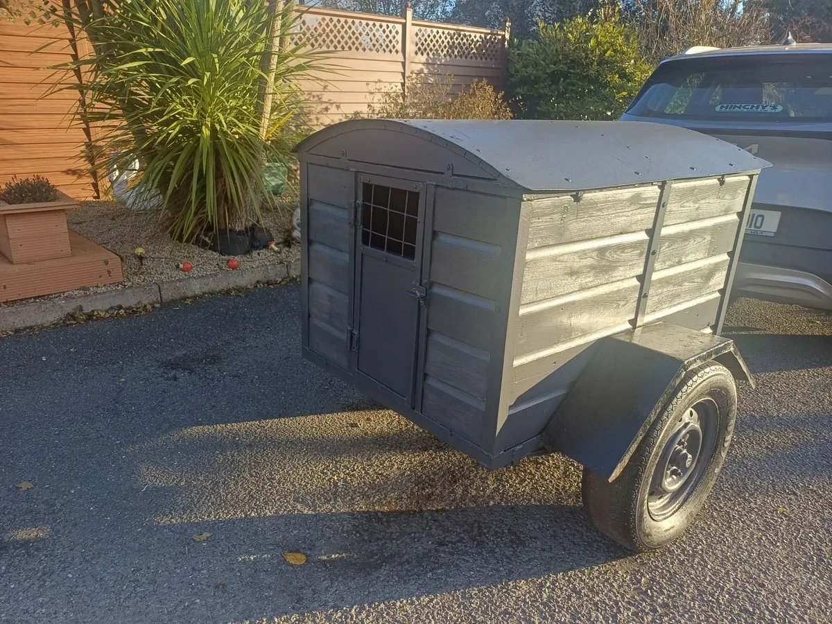 Dog box trailer - Image 4