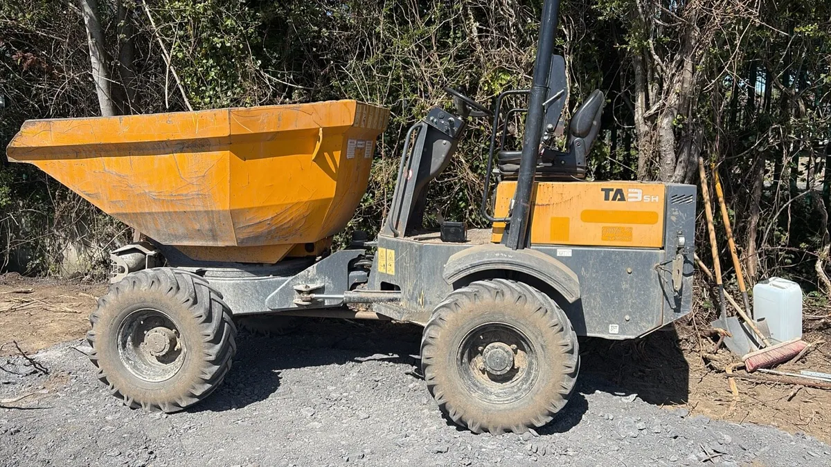 3 tone swivel dumper - Image 1