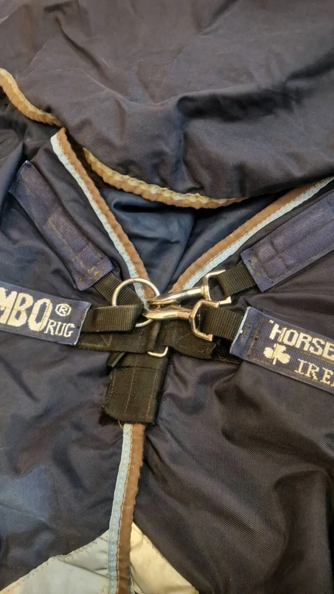 Rambo rug - Image 4
