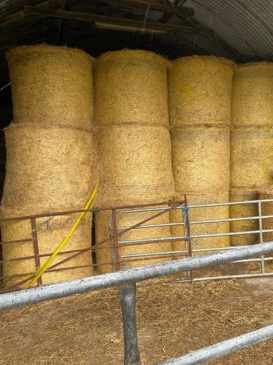Hay for sale