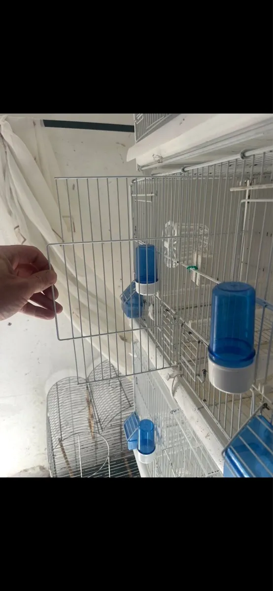 Bird cages - Image 2