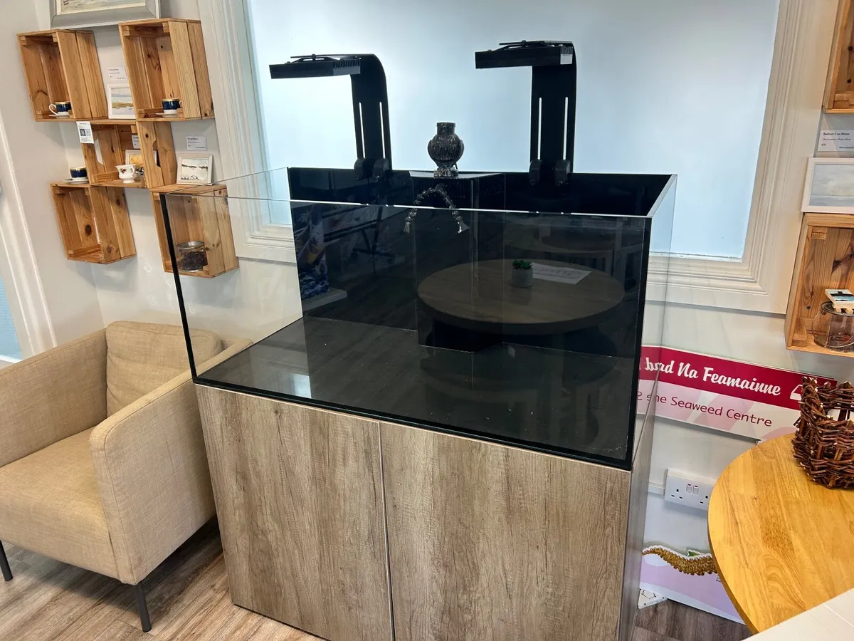Fish tank - Image 1