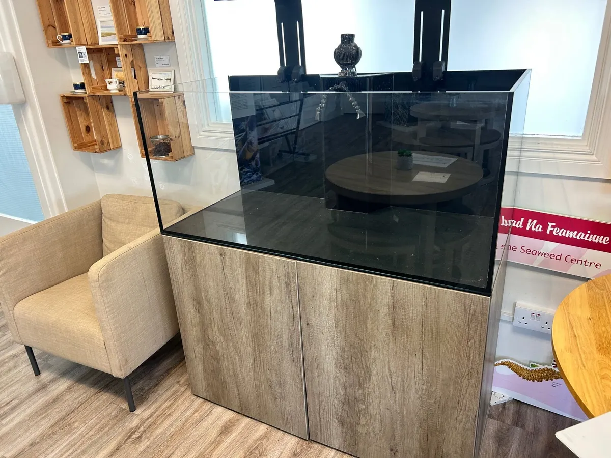 Fish tank - Image 2