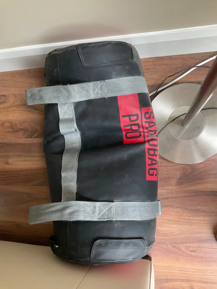 Gym Medicine Ball and 2 Sandbag Weights 20/30kg - Image 2
