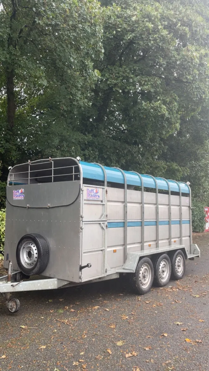 14ft 2022 tuff mac cattle trailer - Image 3