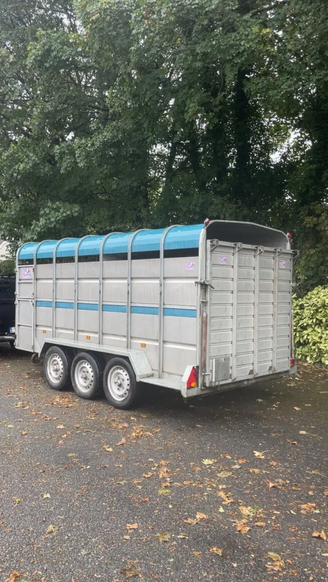 14ft 2022 tuff mac cattle trailer - Image 4