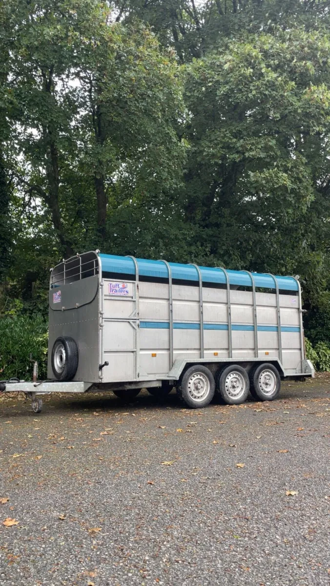 14ft 2022 tuff mac cattle trailer - Image 1
