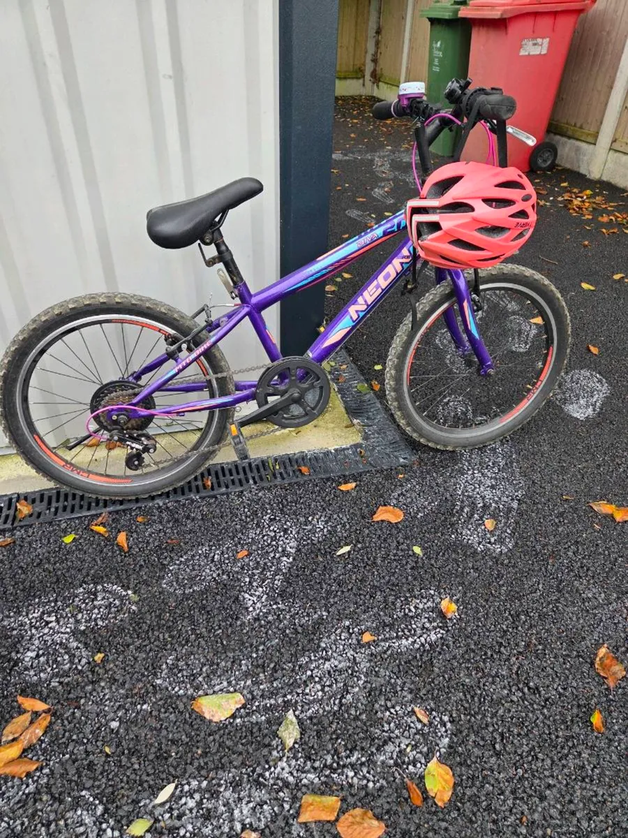 Bikes - Image 1