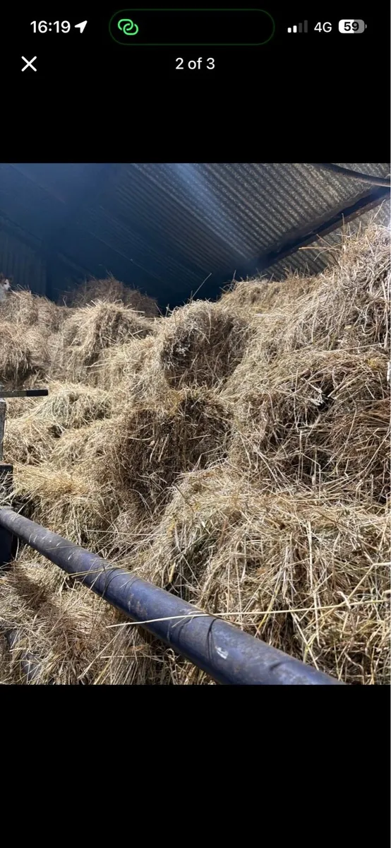 Square bales of hay - Image 2