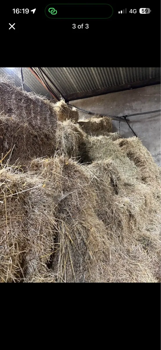 Square bales of hay - Image 3