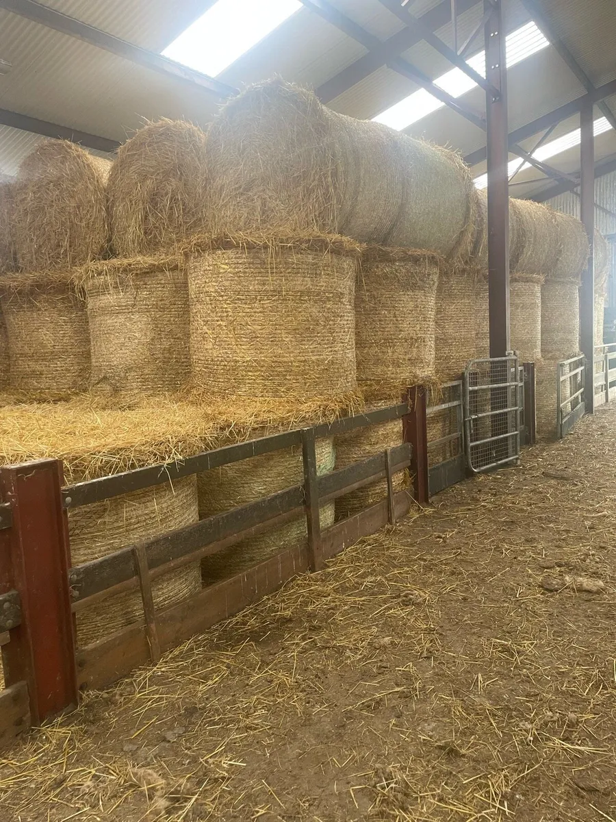 Straw
